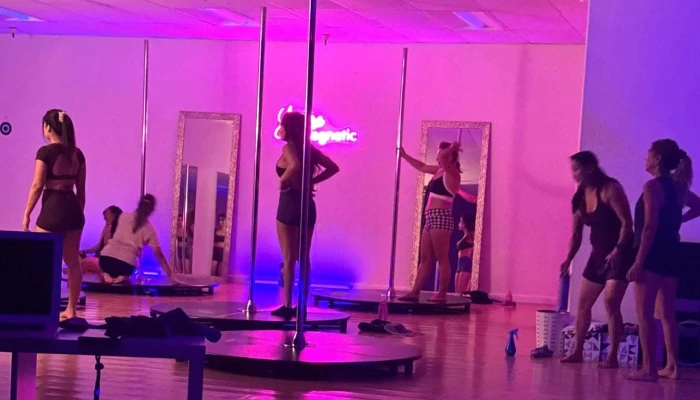 Magnetic Pole Fit -  Fitness Center - San Jose