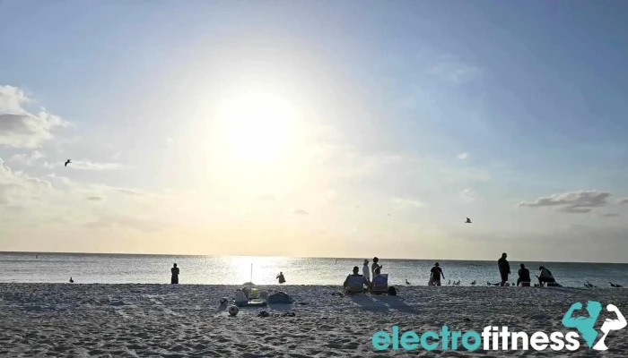 Manatee Public Beach -  Videos - Holmes Beach