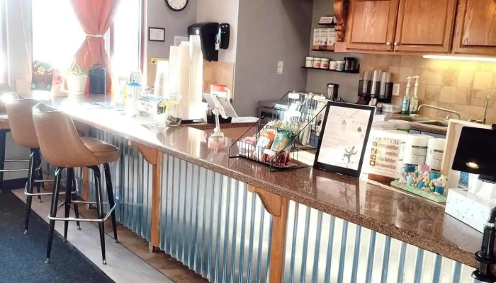 Max Nutrition -  Vibe - Andover