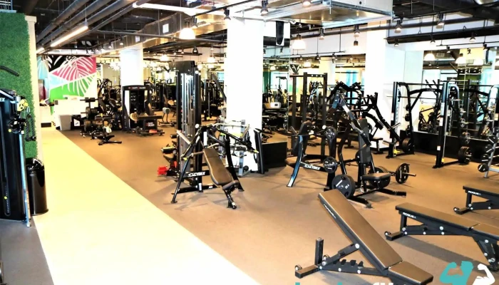 Miami Strong Gym -  All - Miami