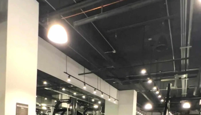 Miami Strong Gym -  Phone - Miami