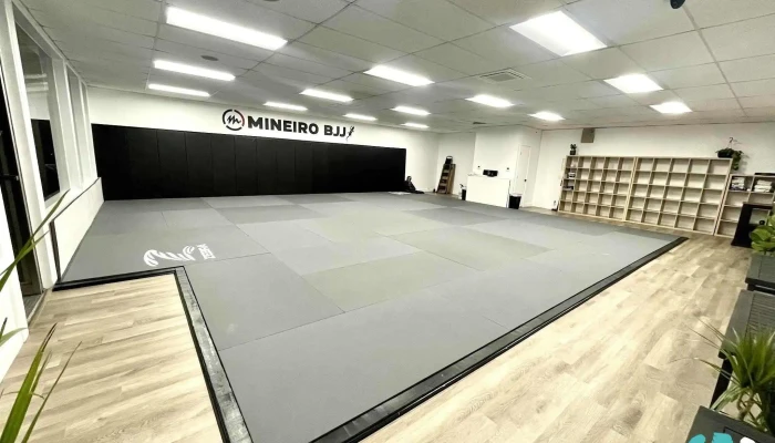 Mineiro Brazilian Jiu Jitsu -    Alamo By Owner - Alamo