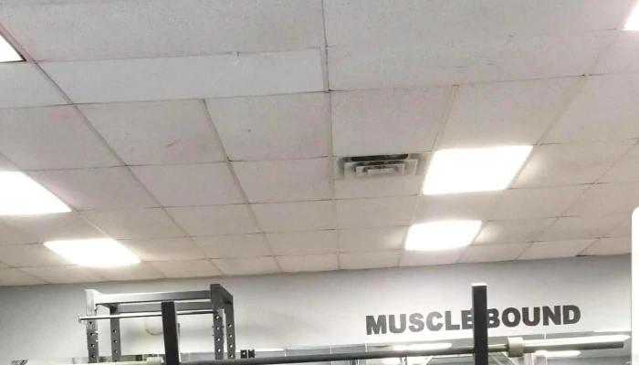 Musclebound Usa Gym -  Address - Ankeny