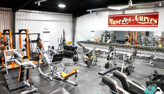 Muscles Curves Gym Exercise Machine - Crockett