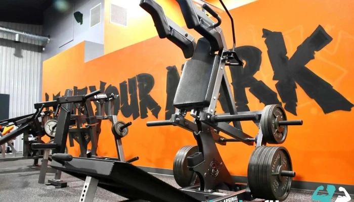 Muscles Curves Gym Gym - Crockett