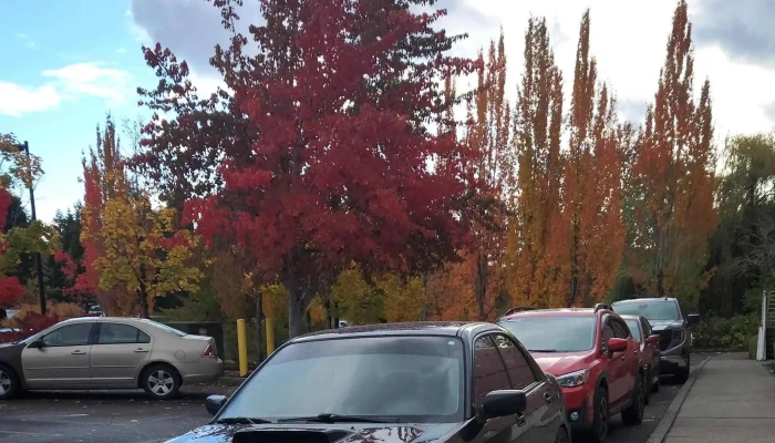 Muv Fitness Tanasbourne -  Address - Beaverton