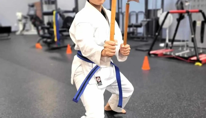 Newtons Martial Arts All - Bowling Green