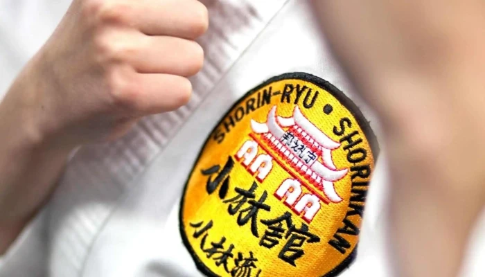 Newtons Martial Arts Reviews - Bowling Green