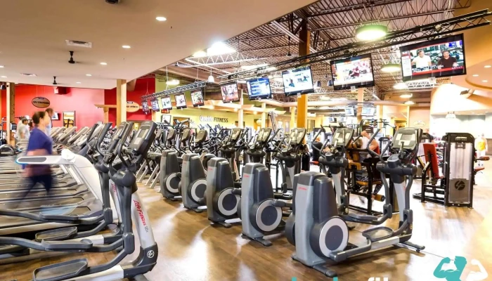 Onelife Fitness -    Crabapple Exercise Machine - Alpharetta