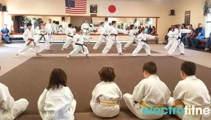 Pelletier's Karate Academy - Lewiston