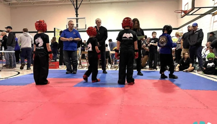 Pennsylvania Martial Arts Alliance -  Martial Art - Altoona