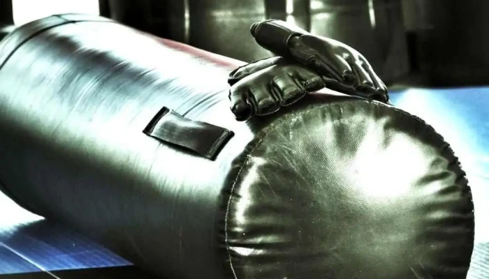 Phoenix Krav Maga And Fitness Phxkravfit Videos - Phoenix