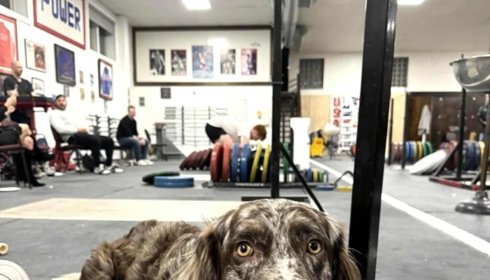 Pittsburgh Barbell Club -  Gym - Bridgeville