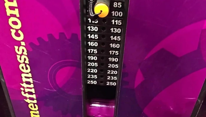 Planet Fitness -  Instagram - Los Angeles