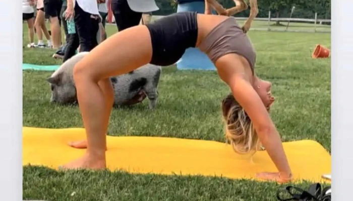Power Yoga Fort Wayne -  By Owner - Fort Wayne