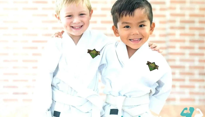Premier Martial Arts -  Martial Art - Canyon Country