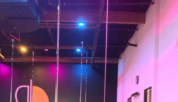 Rise Pole Fitness Llc -    Sacramento Promotion - Sacramento