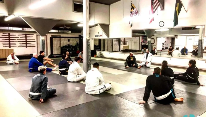 Ryoma Academy Of Martial Arts Llc By Owner - Frostburg