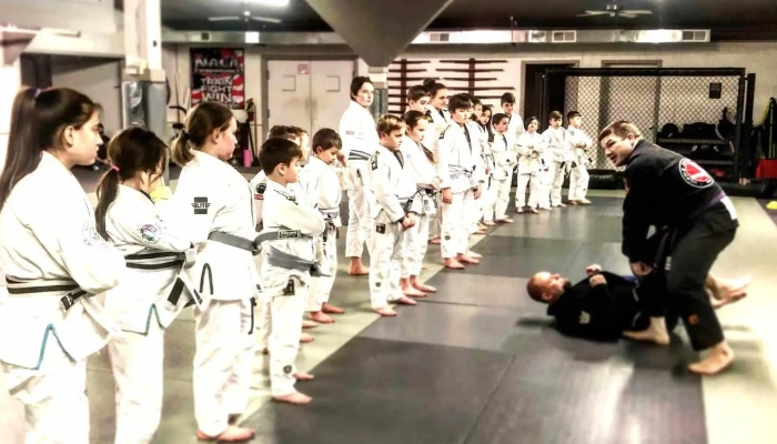 Ryoma Academy Of Martial Arts Llc Community - Frostburg