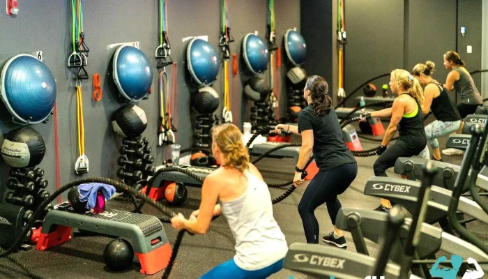 Rzone Fitness Coral Gables Exercise Machine - Coral Gables