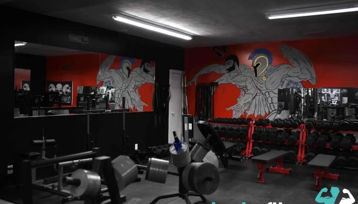 Savage Iron -  Gym - Linton