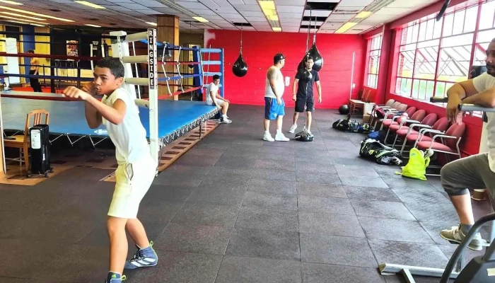 Show Stoppers Boxing Gym -  Gym - Allentown