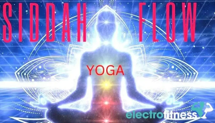 Siddah Flow Yoga -  Yoga - Anchorage