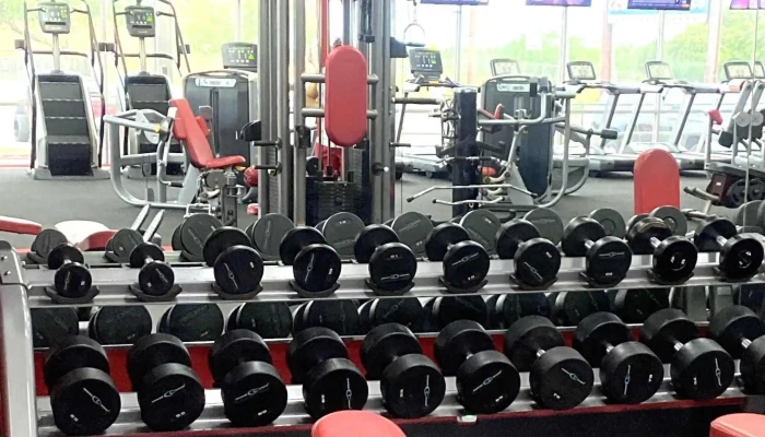 Taylor Fitness - Palestine