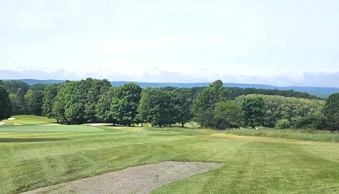 The Alpine Golf Course -  Golf Course - Boyne City