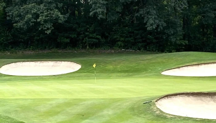 The Alpine Golf Course -  Location - Boyne City