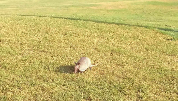The Club At Westminster -  Website - Lehigh Acres