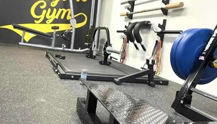 The Everyone Gym - Annandale