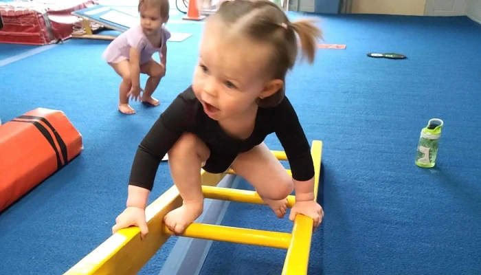 The Gymnastics Zone Inc Gymnastics Center - Antioch