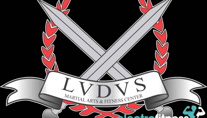 The Ludus Martial Arts And Fitness Center Llc All - Petoskey