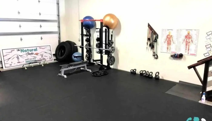 The Natural Studio Llc -  Physical Fitness - Anchorage