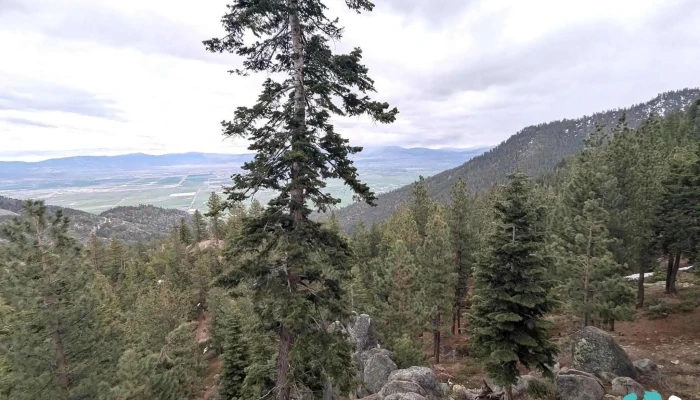 The Ridge Sierra -  Latest - Zephyr Cove