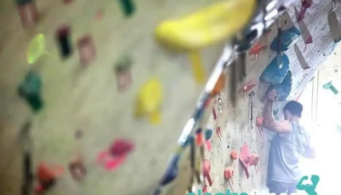 The Studio Climbing -  By Owner - San Jose