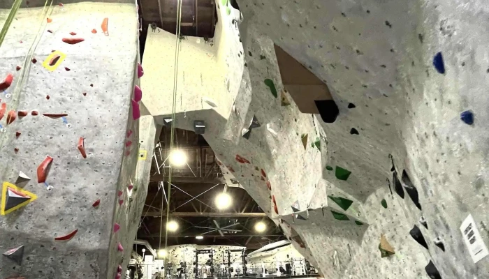 The Studio Climbing - San Jose