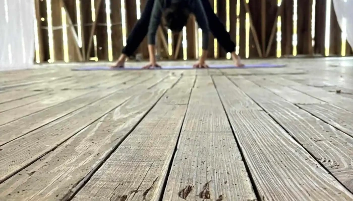 Thriving Radiance Yoga -  All - Charlevoix