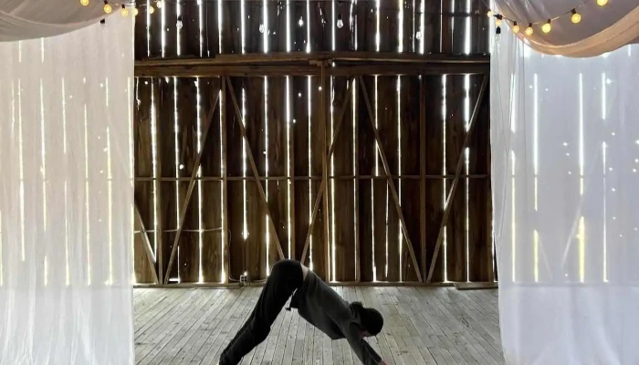 Thriving Radiance Yoga -  By Owner - Charlevoix