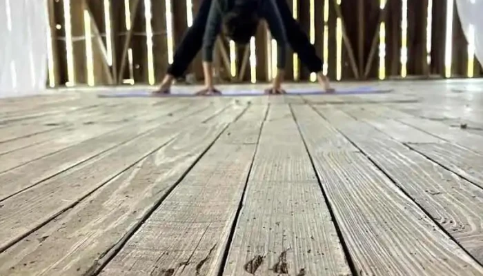 Thriving Radiance Yoga - Charlevoix