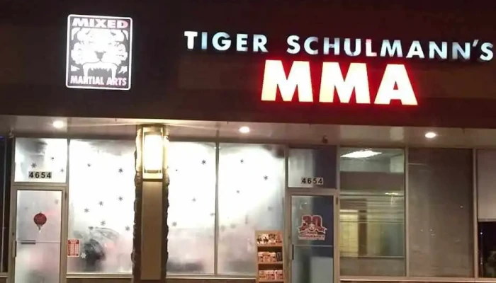 Tiger Schulmann's Martial Arts (Allentown, Pa) - Allentown