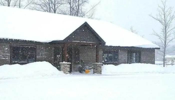 Tree Of Life Body Works -  By Owner - Kalkaska