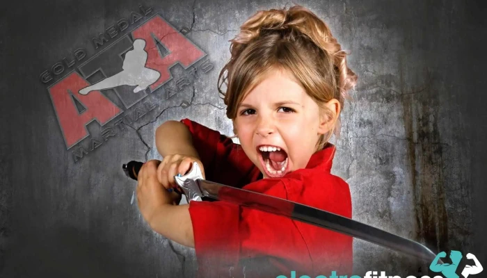 Trident Martial Arts -  By Owner - Santa Clarita