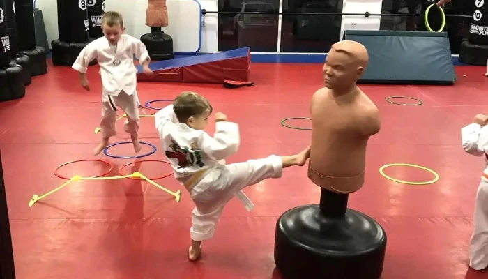 Usa Martial Arts -  Martial Art - Antioch