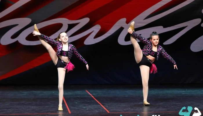 West Michigan Elite Pom And Dance -  By Owner - Allendale