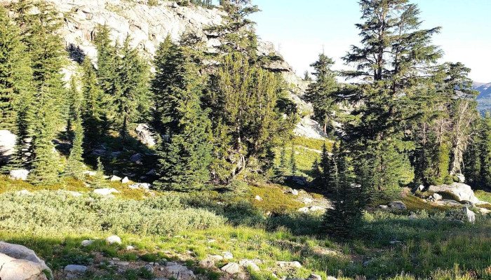 Woods Creek Parking Area And Trailhead Schedule - Markleeville