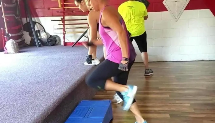 Workhorse Gym -  Physical Fitness - Kokomo