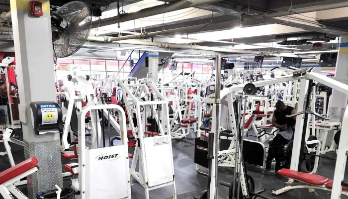 Xtreme Fitness Of Westchester -  Catalog - Mt Vernon