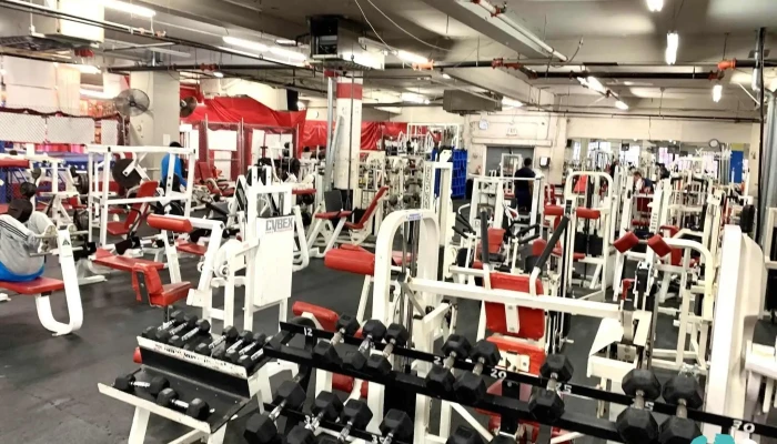 Xtreme Fitness Of Westchester -  Gym - Mt Vernon
